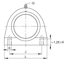 直立式軸承座單元 PSHE45-TV-FA125.5, 塑料軸承座，帶偏心鎖圈的外球面球軸承，帶 Corrotect? 涂層，P型密封