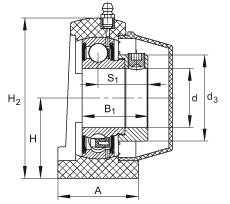 直立式軸承座單元 PSHE45-TV-FA125.5, 塑料軸承座，帶偏心鎖圈的外球面球軸承，帶 Corrotect? 涂層，P型密封